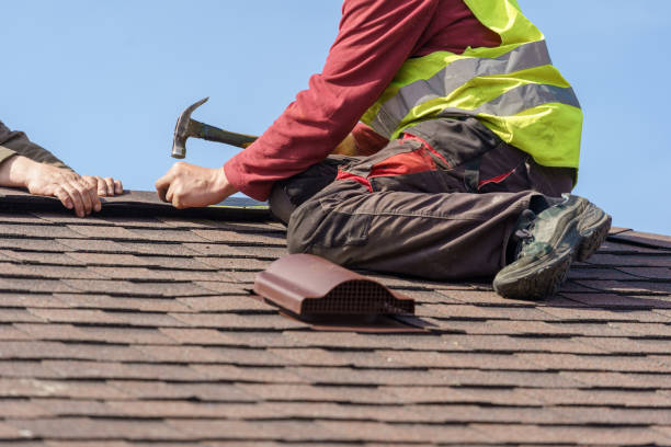 Best Roof Gutter Cleaning  in Freeland, WA