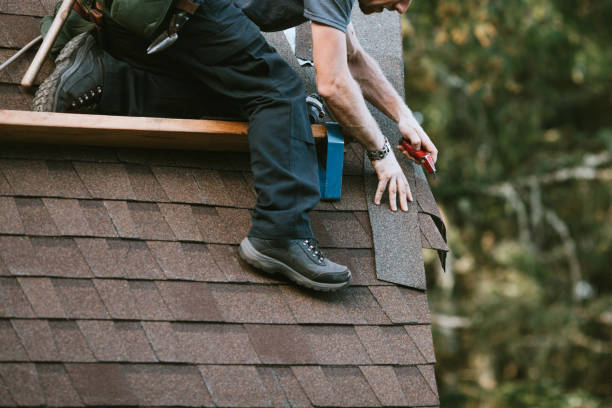 Professional Roofing Contractor in Freeland, WA